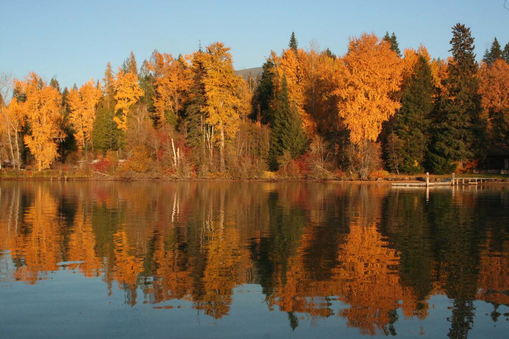 fall foliage reflected in Priest Lake