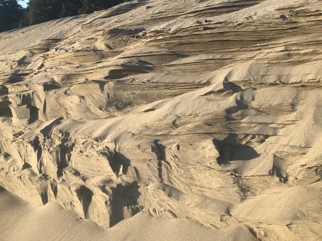 Wind sculpted Sand Dune along the Columbia River at Skamokawa, WA