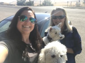 Julie K and N and white dogs launching on 40th birthday road trip
