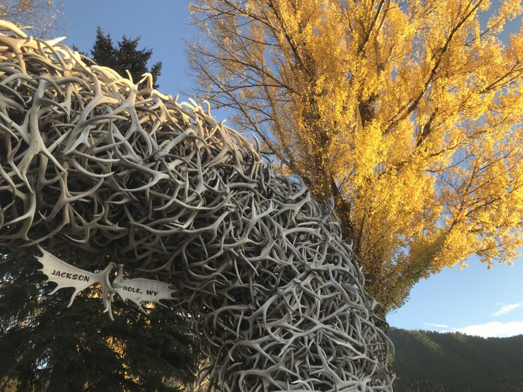 Antler arch in Jackson Hole WY