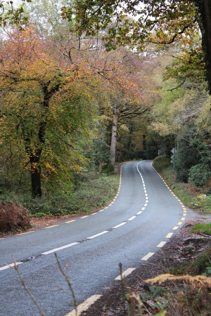 Fall colors along the narrow rural roads of Ireland, travel challenge to right hand drive