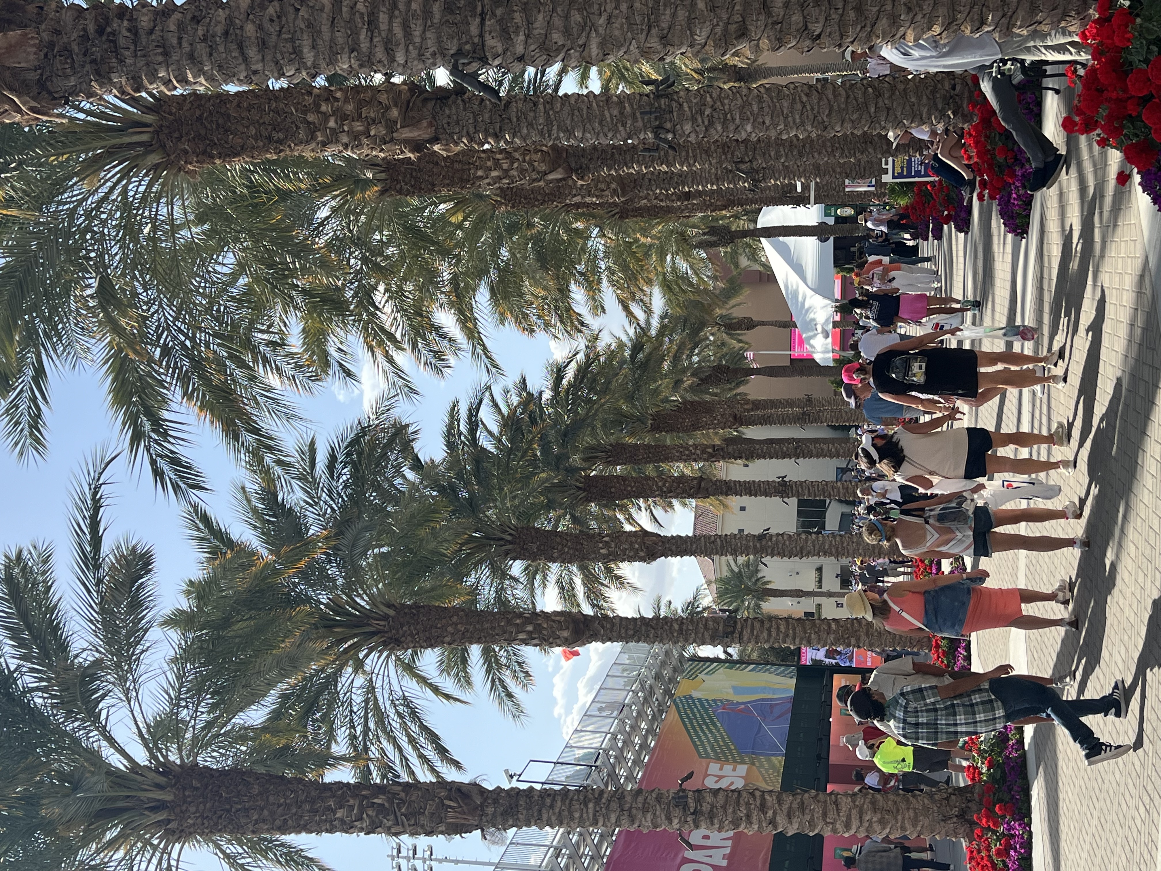 The main walk at the Indian Wells Tennis Garden with spectators and palm trees