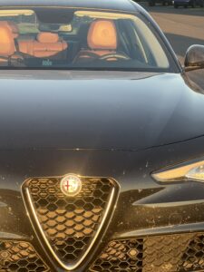 Giulia in the sunset light